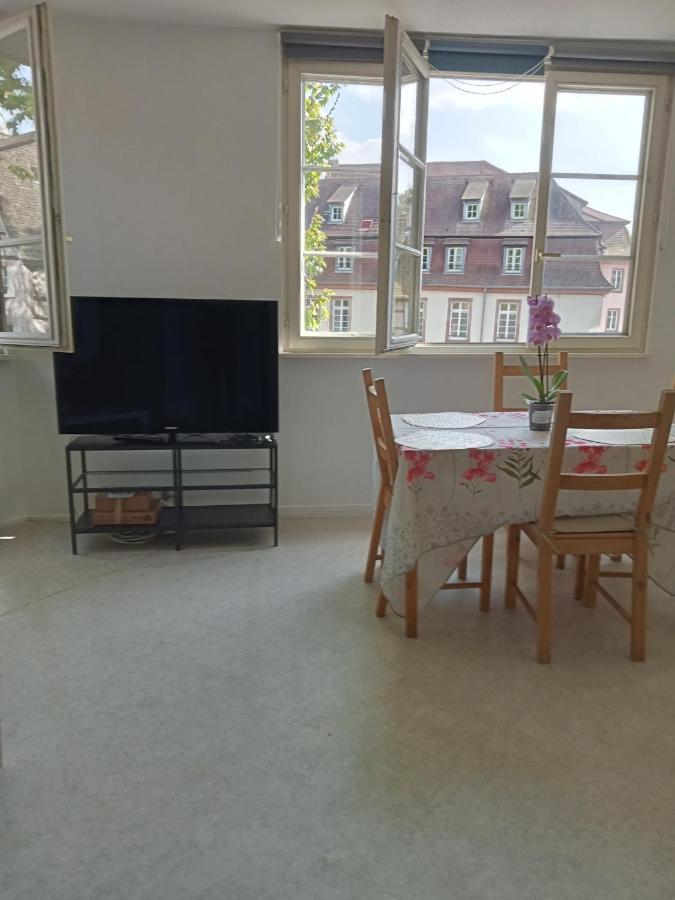 Au Coeur De La Petite France Apartment Strasbourg Ngoại thất bức ảnh