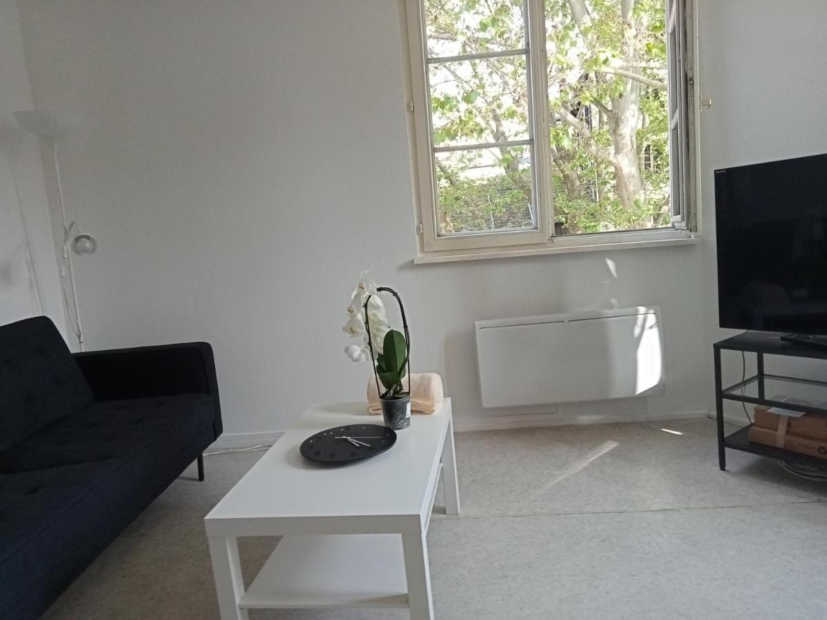 Au Coeur De La Petite France Apartment Strasbourg Ngoại thất bức ảnh