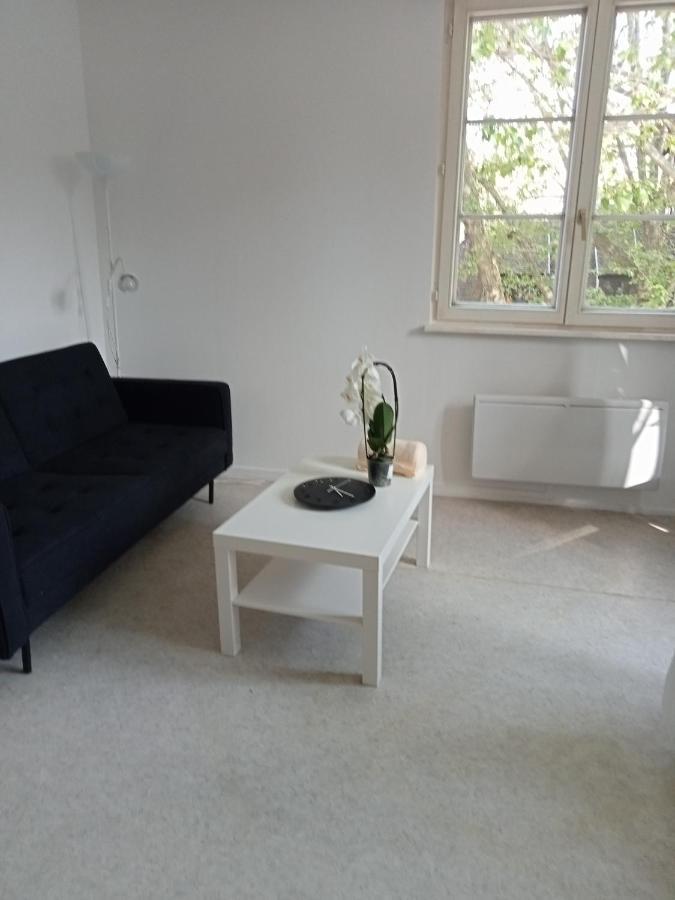 Au Coeur De La Petite France Apartment Strasbourg Ngoại thất bức ảnh